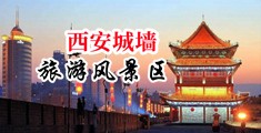 艹美女的骚逼中国陕西-西安城墙旅游风景区